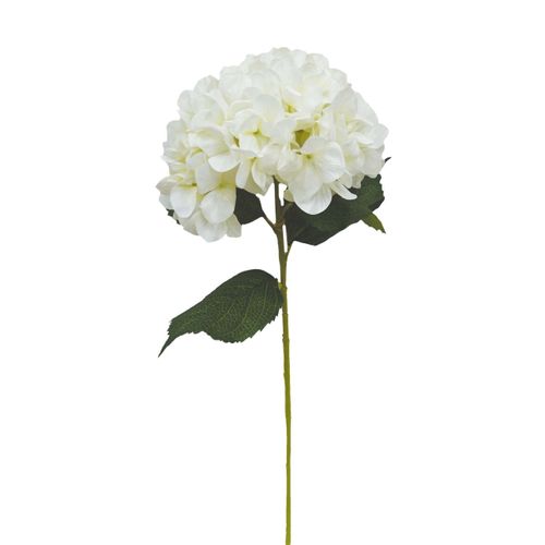 Hortensia tige H. 80 cm  Crème