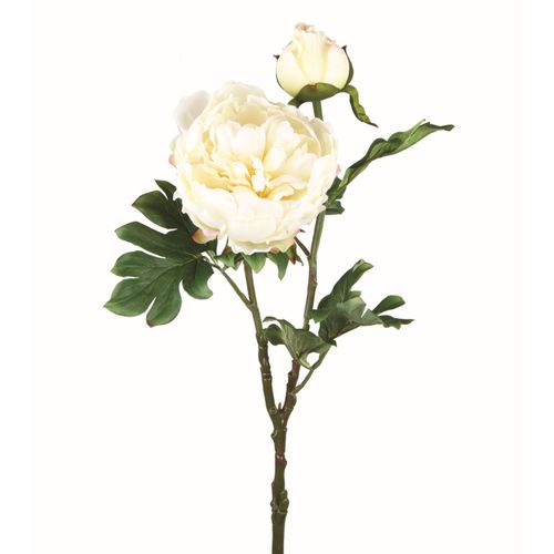 Pivoine tige H. 69 cm - Blanc