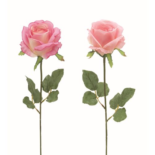 Rose tige H. 72 cm  Rose