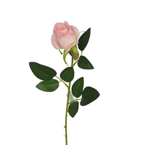 Bouton de rose H. 63 cm  Rose