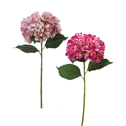 Hortensia tige H. 80 cm  Rose