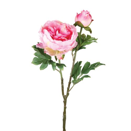 Pivoine tige H. 69 cm  Rose