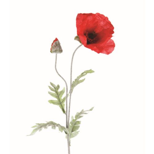 Coquelicot tige H. 70 cm Rouge