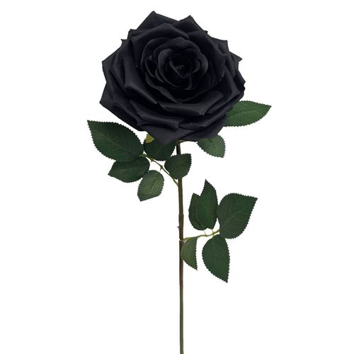 Rose tige H. 70 cm  Noir