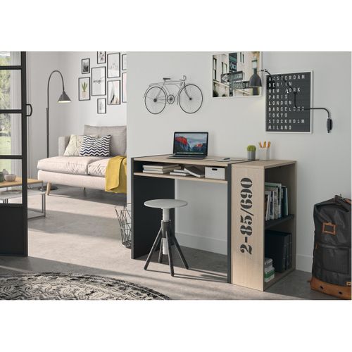 Bureau Industriel Avec Bibliothèque