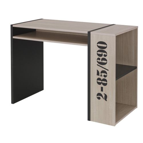 Bureau Industriel Avec Bibliothèque