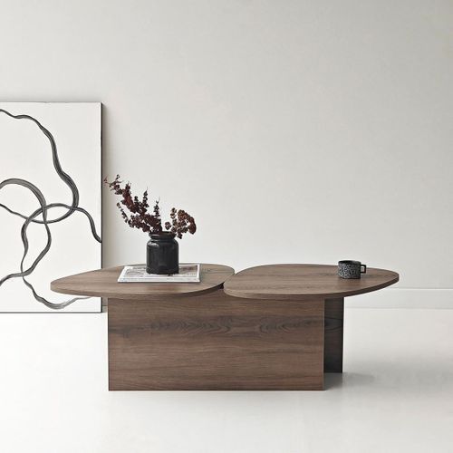 Table Basse Double Plateau Organique L125 Cm