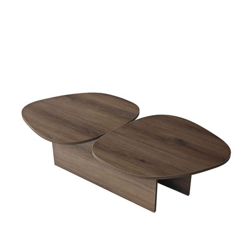 Table Basse Double Plateau Organique L125 Cm