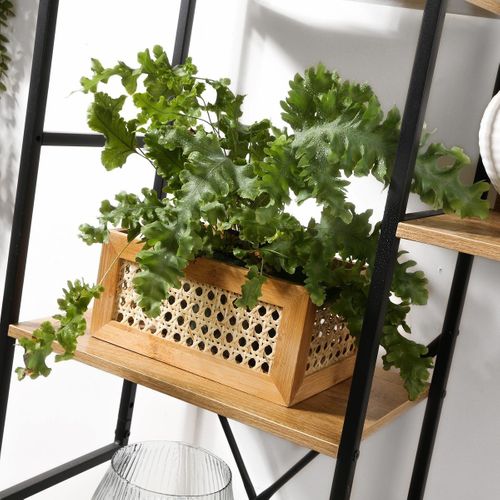 Boîte En Bambou Et Rotin Petit Modèle - L25x18x12 Cm