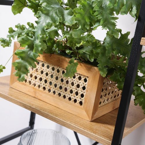 Boîte En Bambou Et Rotin Petit Modèle - L25x18x12 Cm