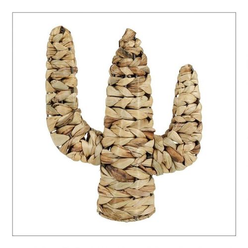 Cactus Rotin Naturel