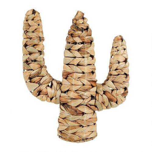 Cactus Rotin Naturel