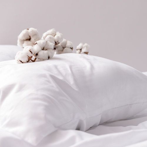 Oreiller Moelleux Coton Percale 50x70 Cm