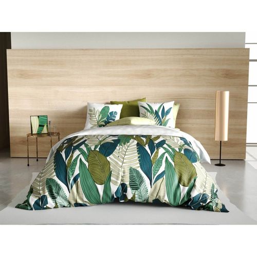 Housse De Couette 240x220 Beleme + 2 Taies Coton 57 Fils