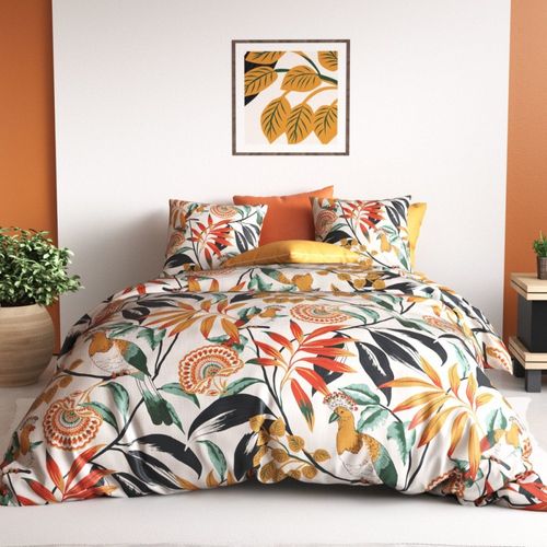 Housse De Couette 260x240 Ninon + 2 Taies Coton 57 Fils