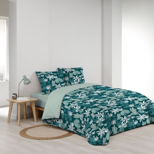 Housse De Couette 240x220 + 2 Taies Scarlett