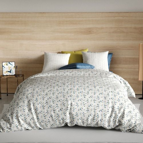 Housse De Couette 260x240 Vita + 2 Taies Coton 57 Fils