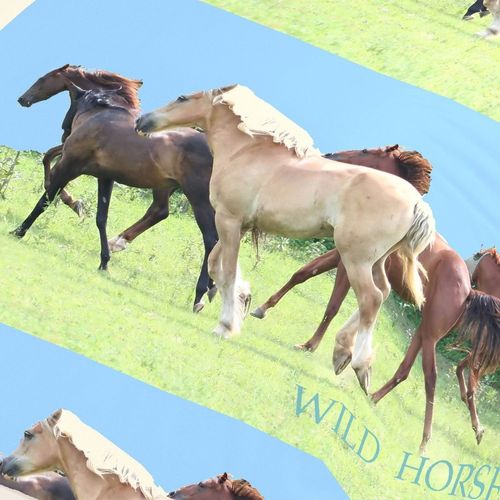 Housse De Couette 140x200 Chiel + 1 Taie