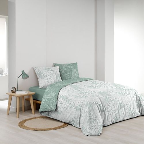 Housse De Couette 240x220 + 2 Taies Cassia Sauge 100% Coton