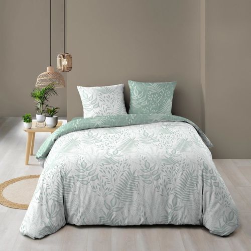 Housse De Couette 240x220 + 2 Taies Cassia Sauge 100% Coton