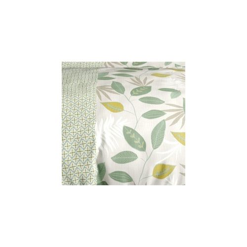 Housse De Couette 260x240 Areca + 2 Taies Coton 57 Fils