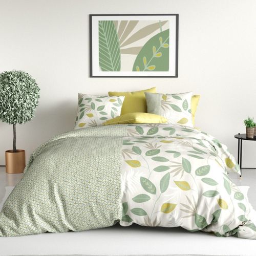 Housse De Couette 260x240 Areca + 2 Taies Coton 57 Fils