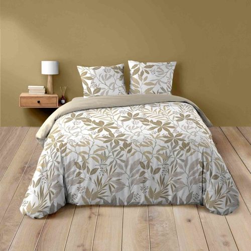 Housse De Couette 240x220 + 2 Taies Voltine 100% Coton Coloris Miel