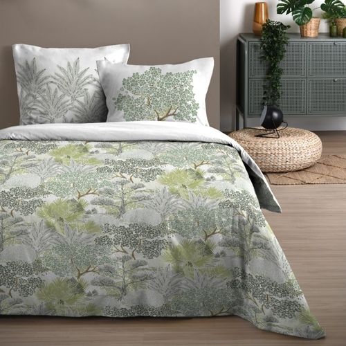 Housse De Couette 240x220 Merlin + 2 Taies Coton 57 Fils