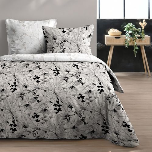 Housse De Couette 240x220 Surya + 2 Taies Coton 57 Fils