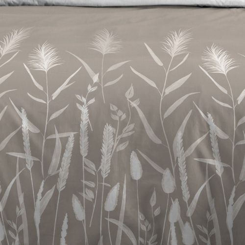 Housse De Couette 260x240 Pampa + 2 Taies Coton 57 Fils