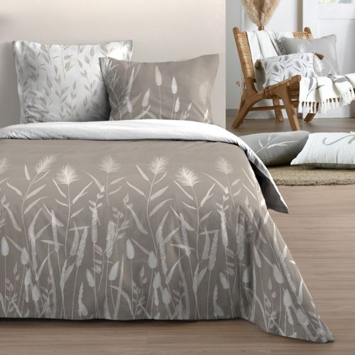 Housse De Couette 260x240 Pampa + 2 Taies Coton 57 Fils