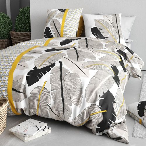 Housse De Couette 260x240 + 2 Taies En Coton 57 Fils