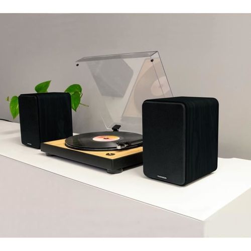 Ensemble De 2 Enceintes Ws600duo Avec Caisson En Bois - Bluetooth 5.0 - 100w - Noir