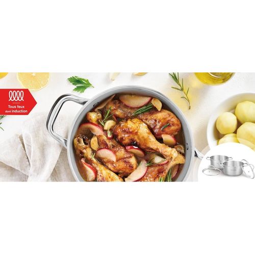 Set De 2 Marmites - Tous Feux Dont Induction - Am0155 - Acier Inoxydable - Ø 24-28 Cm + Couvercle E