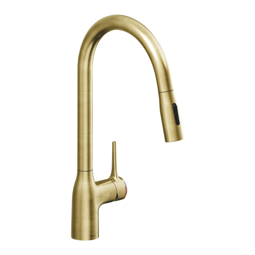 Robinet Douchette Luisina Doré Mat Camille