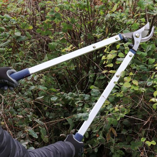 Ébrancheur Professionnel 70 Cm