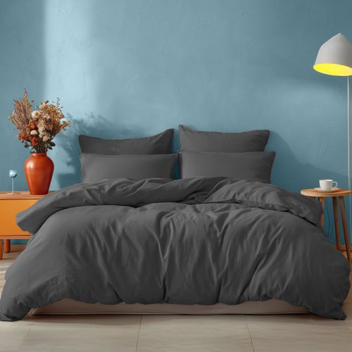 Drap Housse En Coton Bonnet 30 Cm  200x200 Cm Studio