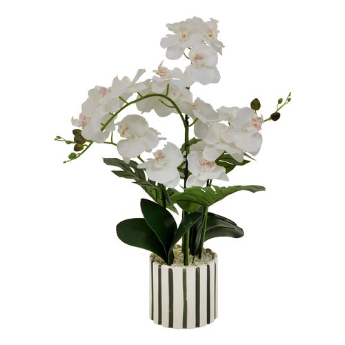 Orchidée pot rayé H. 65 cm ASIA Blanc/Vert