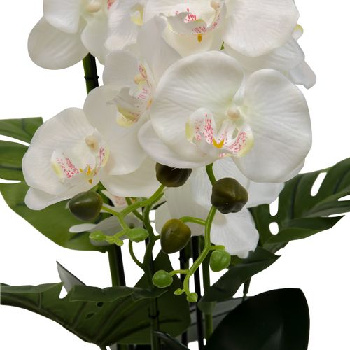 Orchidée pot rayé H. 65 cm ASIA Blanc/Vert