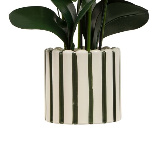 Orchidée pot rayé H. 65 cm ASIA Blanc/Vert