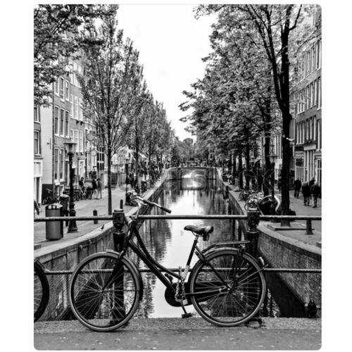 Affiche Encadrée Ayu Noir Et Blanc 70x100cm