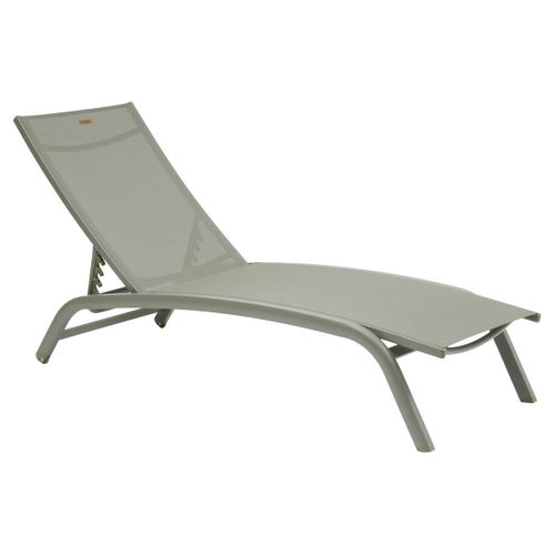 Transat Bonao Vert Laurier