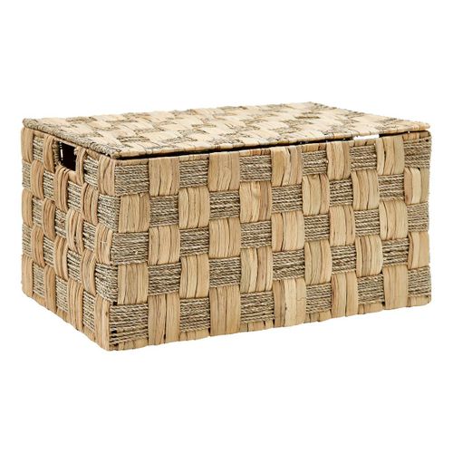 Malle Jacinth Nadi X3