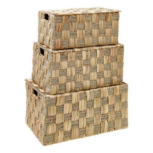 Malle Jacinth Nadi X3