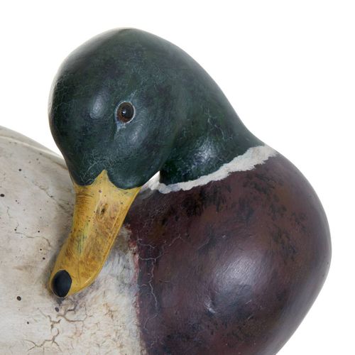 Canard Rsn Vitto L28,5 Outdr