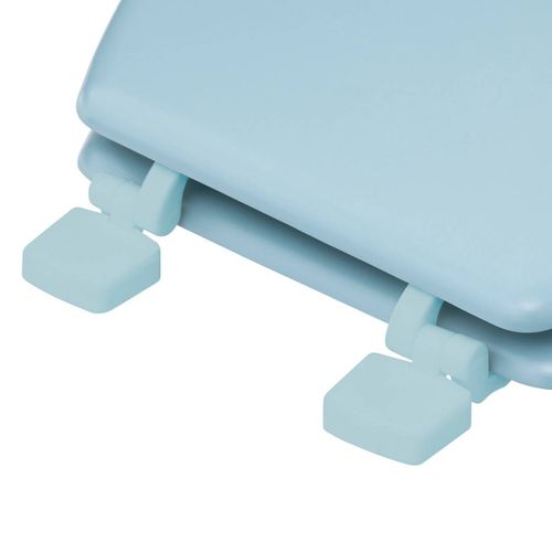 Abattant Wc Standard En Bois Bleu Artic