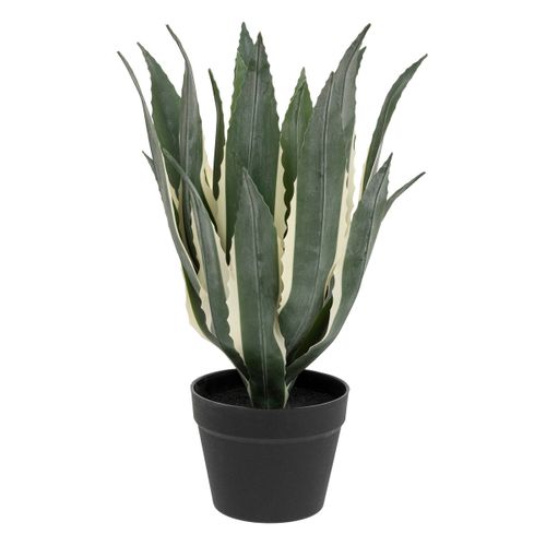 Plante Artificielle Agave En Pot H 55 Cm