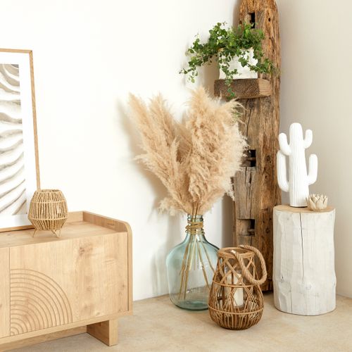 Cactus outdoor H. 38 cm RODRIGO Blanc