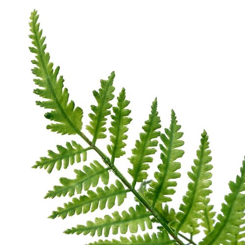 Tige Artificielle Fougère "james" 90cm Vert