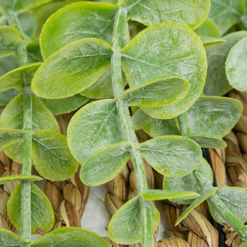 Plante Artificielle Eucalyptus Dans Un Support En Osier à Suspendre H 26 Cm